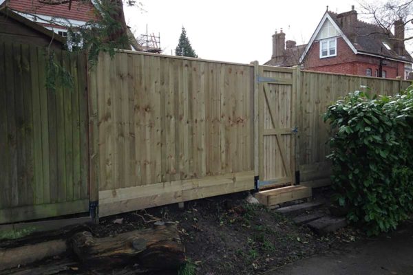 fencing and gate in Tunbridge Wells