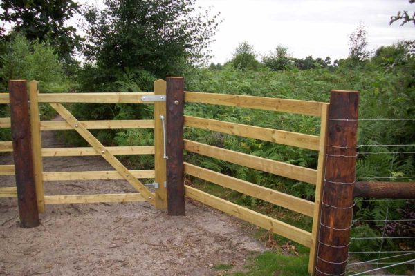 new gate by Weald Fencing